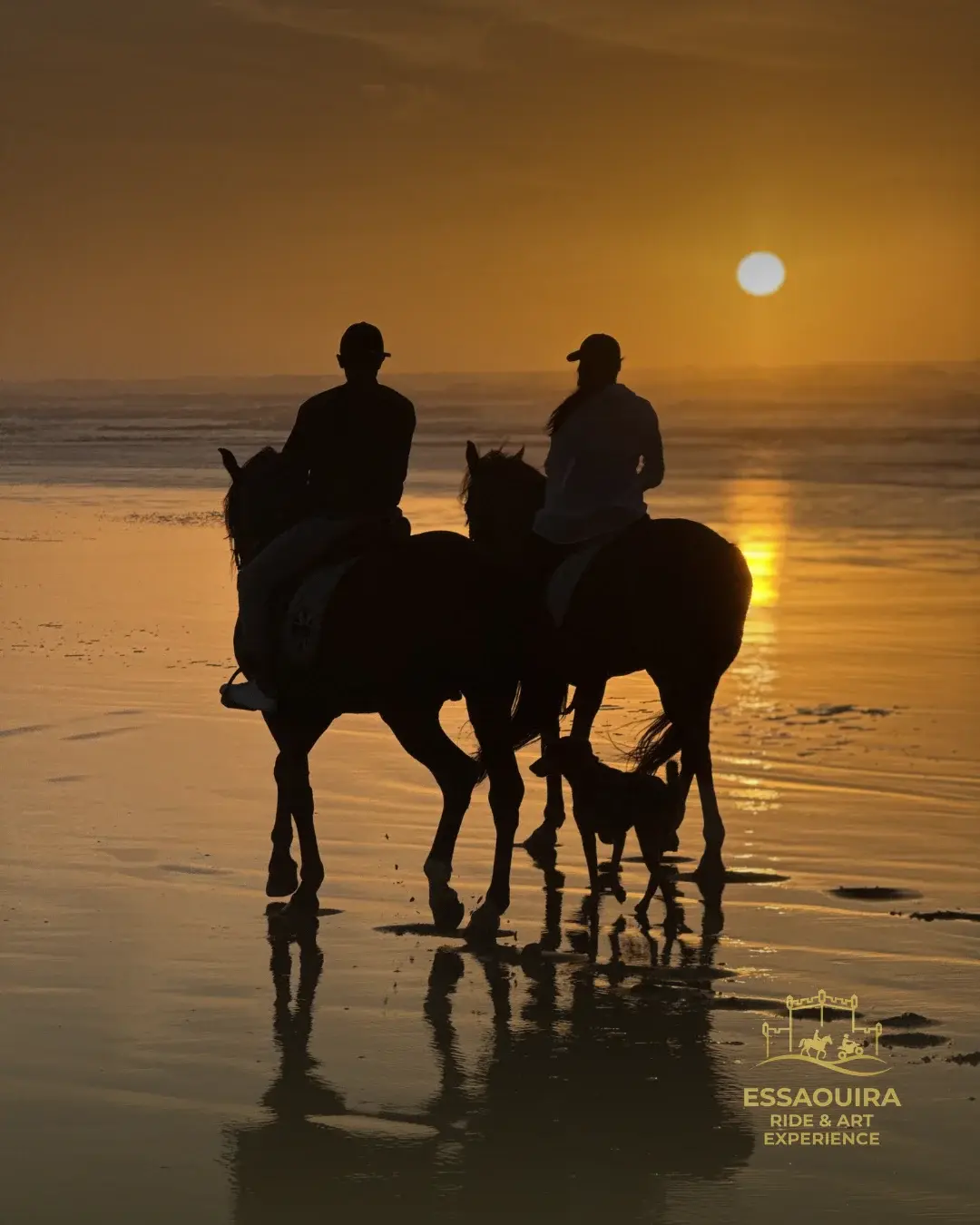 Cheval blanc face à l'océan à Essaouira